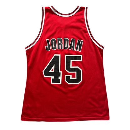 Chicago Bulls 1995 Away Jordan (XL) I'm Back