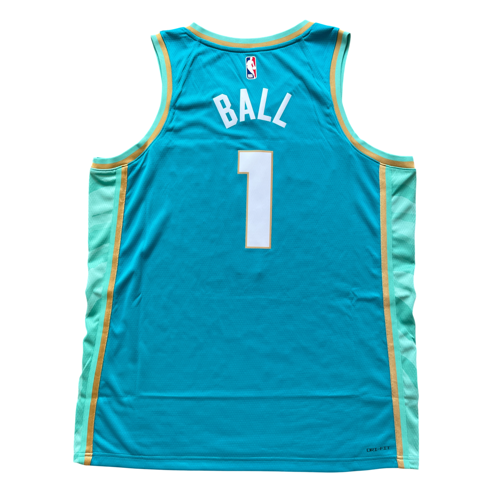 Charlotte Hornets 2023/2024 City Edition Ball (XL)