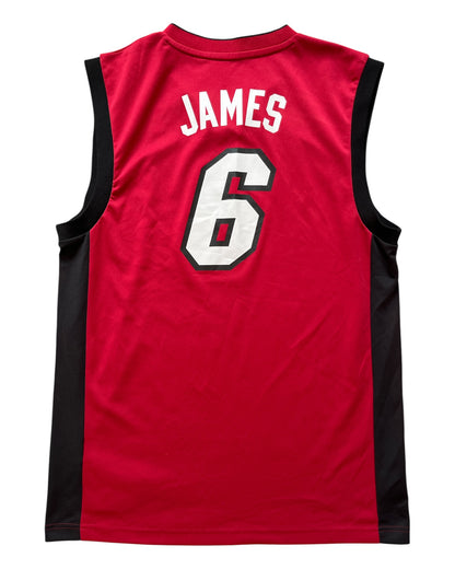 Miami Heat 2012/2014 Alternate James (M)