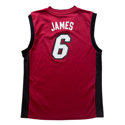 Miami Heat 2010/2012 Alternate James (M)