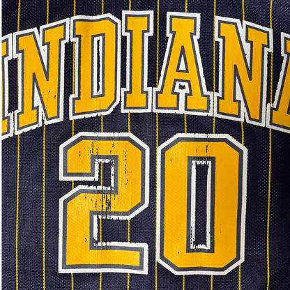 Indiana Pacers 2002/2006 Away Jones (L)