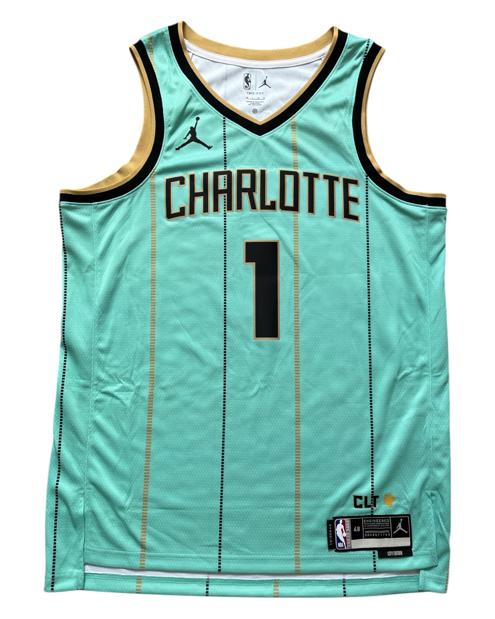 Charlotte Hornets 2024/2025 City Edition Ball (L)