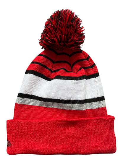 Bonnet Toronto Raptors (New Era)