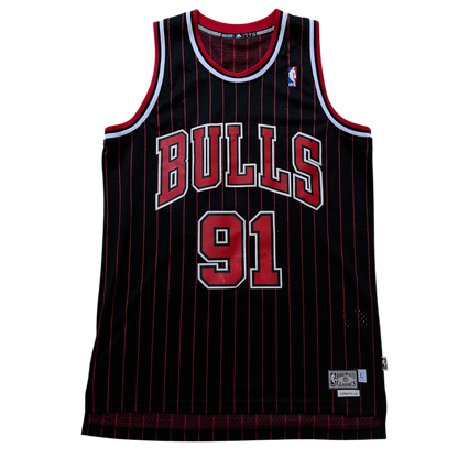 Chicago Bulls 1995/1998 Alternate Rodman (L) HWC