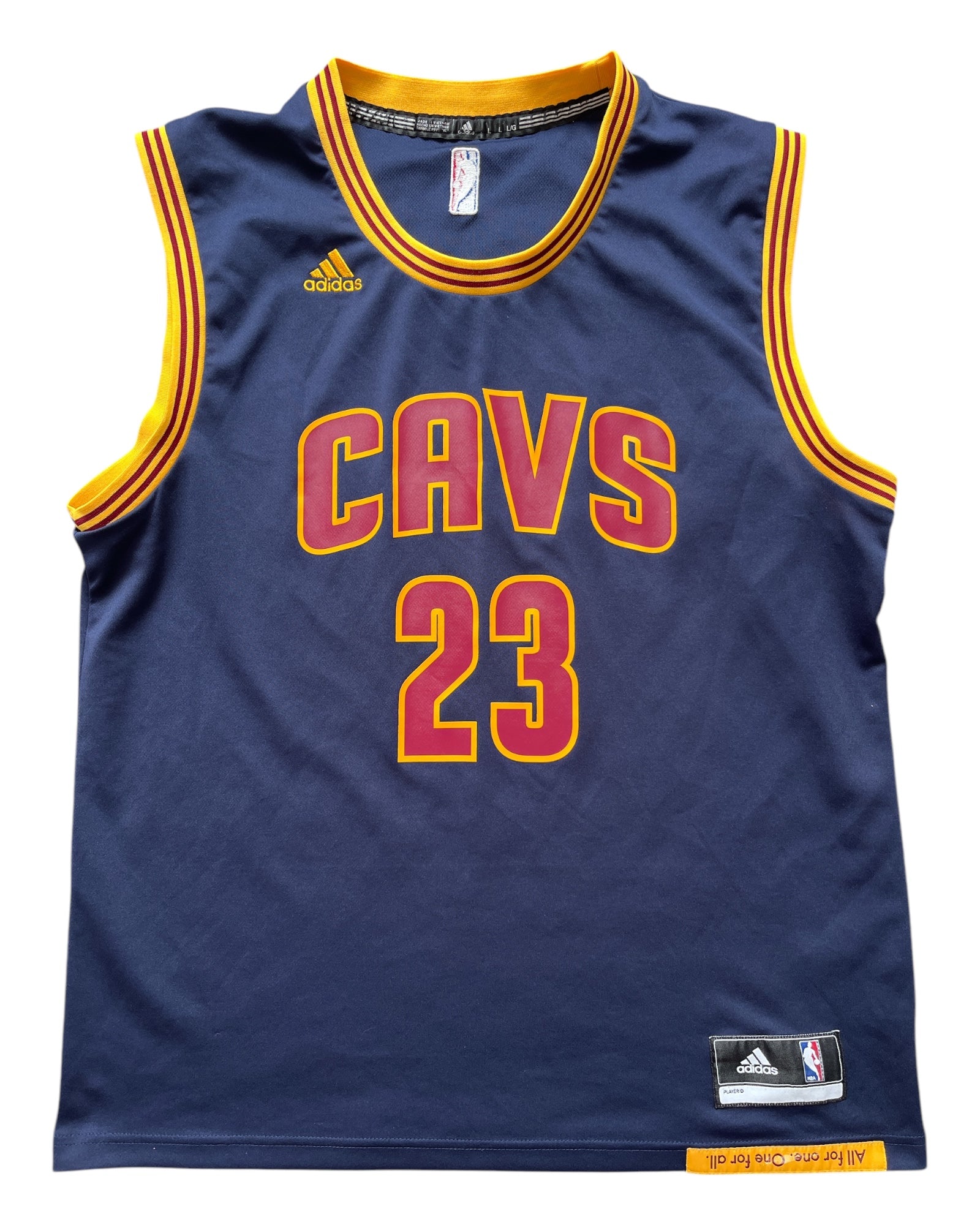 Cleveland Cavaliers 2014/2017 Alternate James (L)