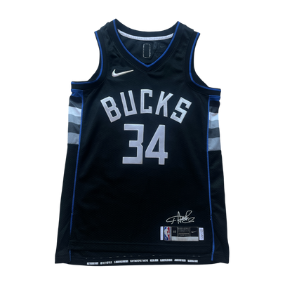 Milwaukee Bucks 2022 Select Series Giannis (S)