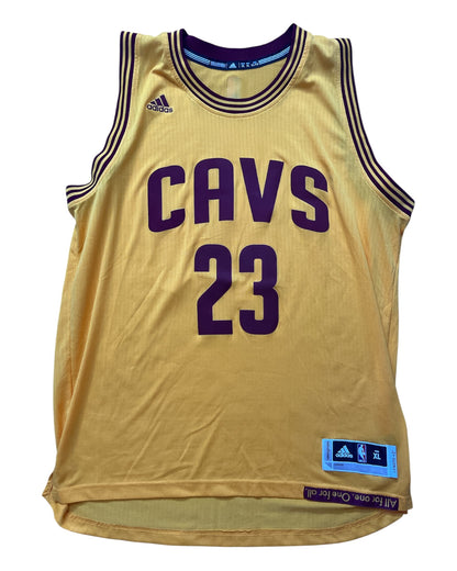 Cleveland Cavaliers 2014/2017 Alternate James (XL)