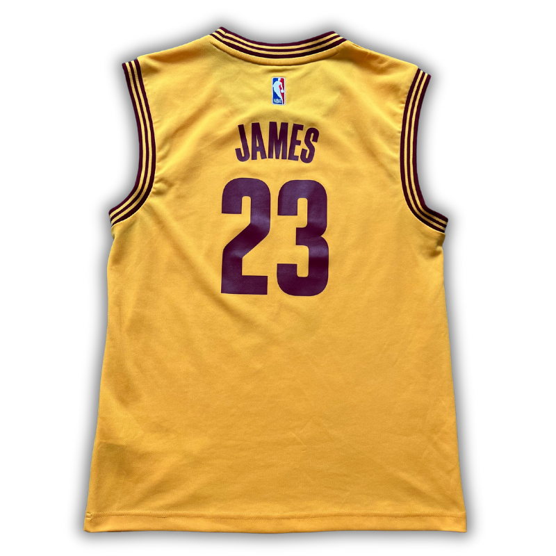 Cleveland Cavaliers 2014/2017 Alternate James (S)