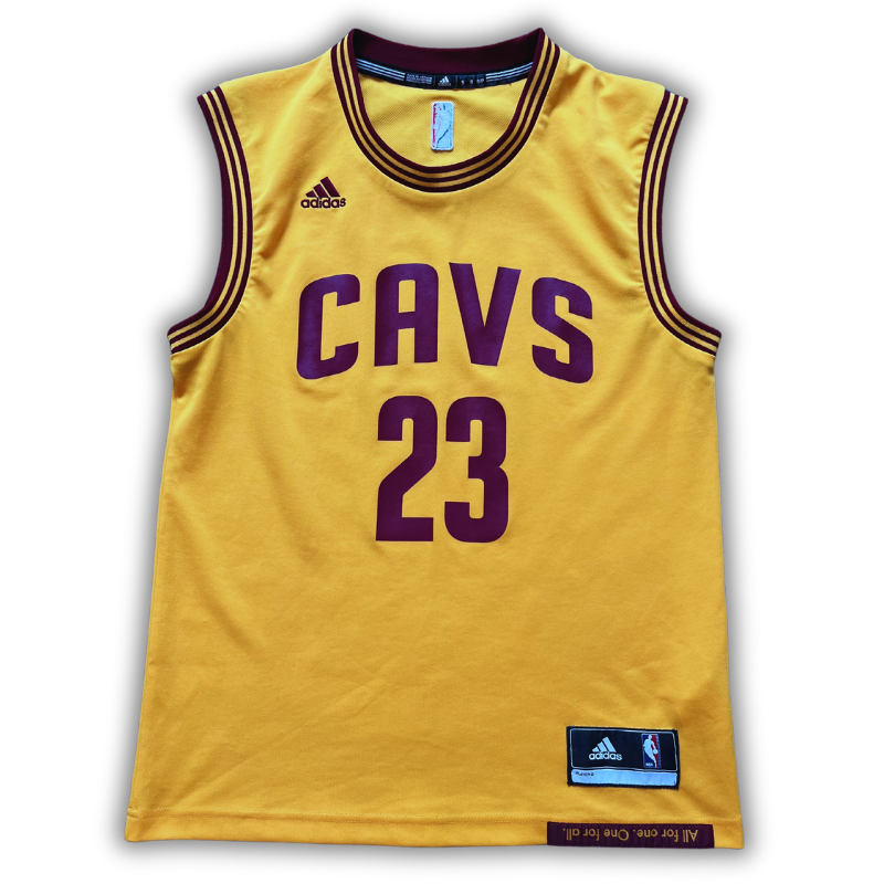 Cleveland Cavaliers 2014/2017 Alternate James (S)