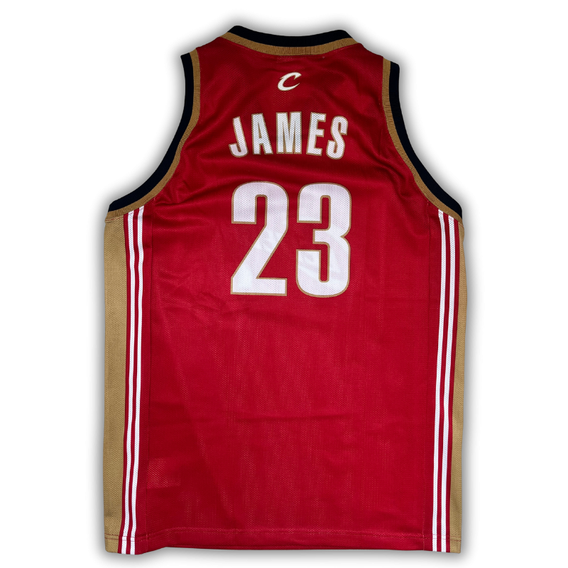 Cleveland Cavaliers 2003/2010 Away James (L)