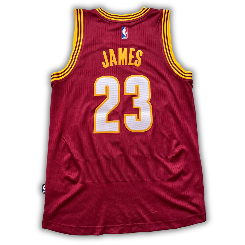 Cleveland Cavaliers 2009/2010 Alternate James (S)