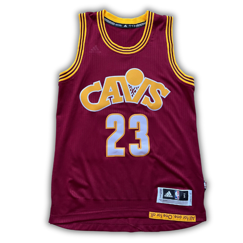 Cleveland Cavaliers 2009/2010 Alternate James (S)