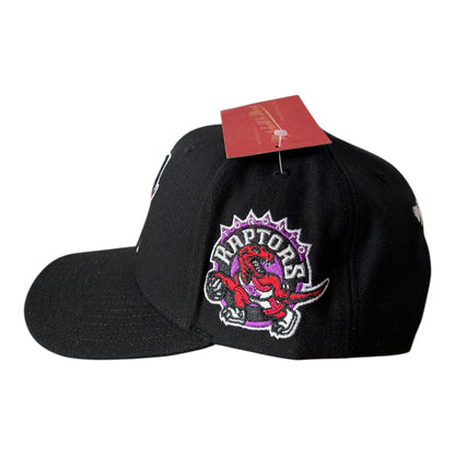Casquette Toronto Raptors - Icon Grail (Mitchell&Ness)