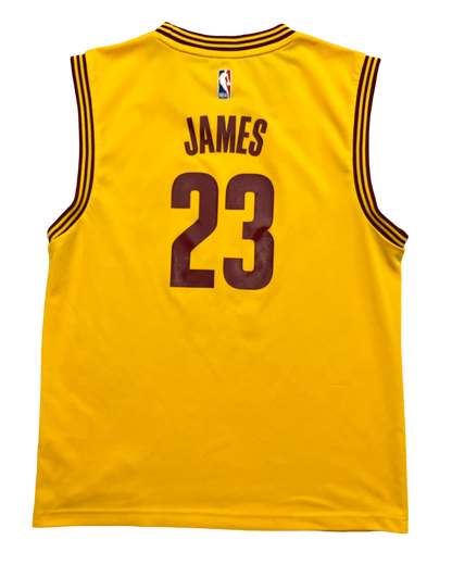 Cleveland Cavaliers 2014/2017 Alternate James (M)
