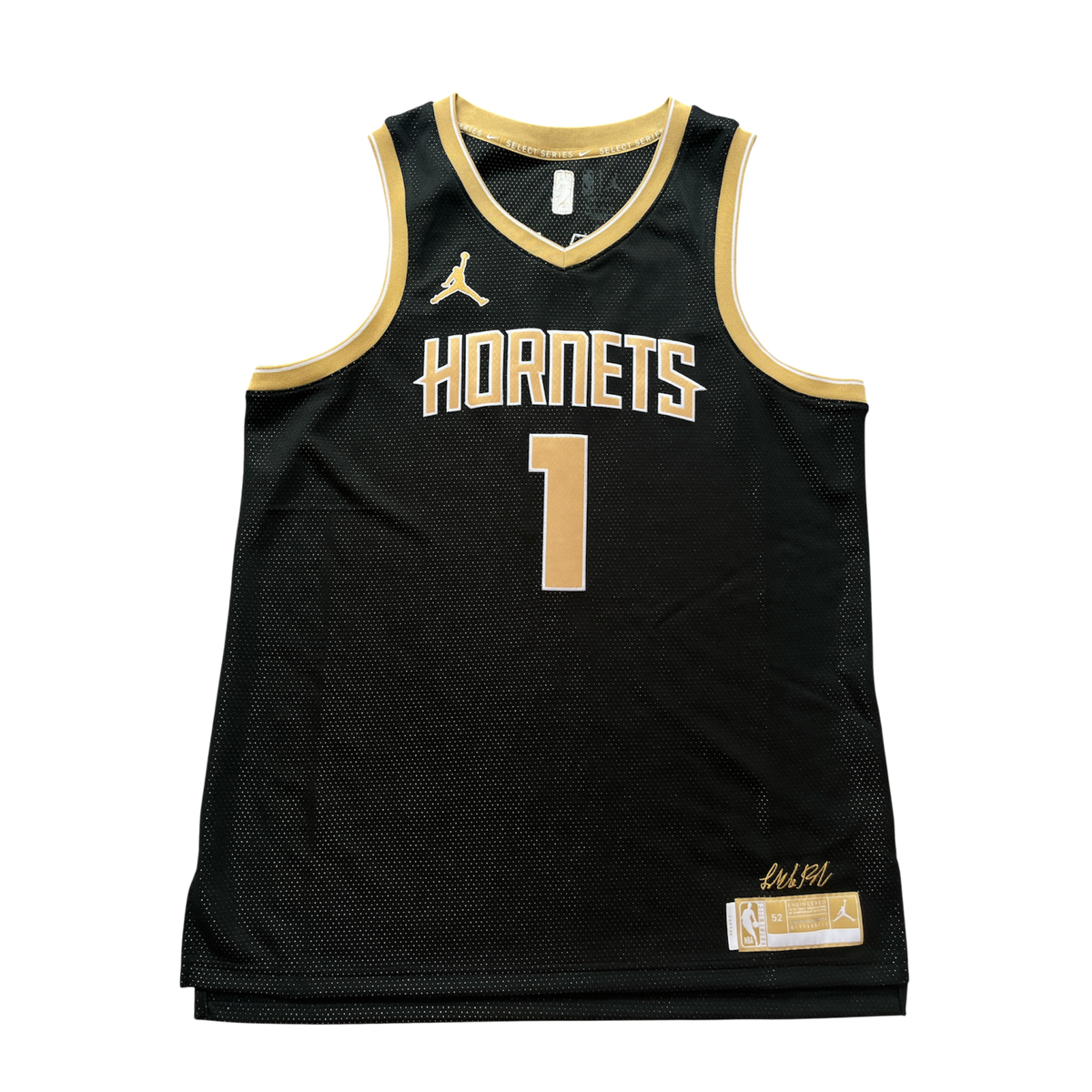 Charlotte Hornets 2024 Select Series Ball (XL)