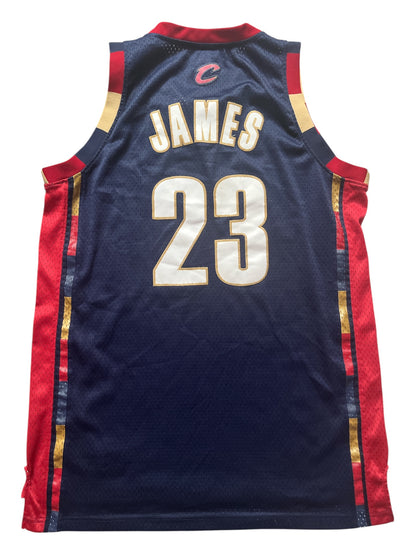 Cleveland Cavaliers 2008/2010 Alternate James (L)