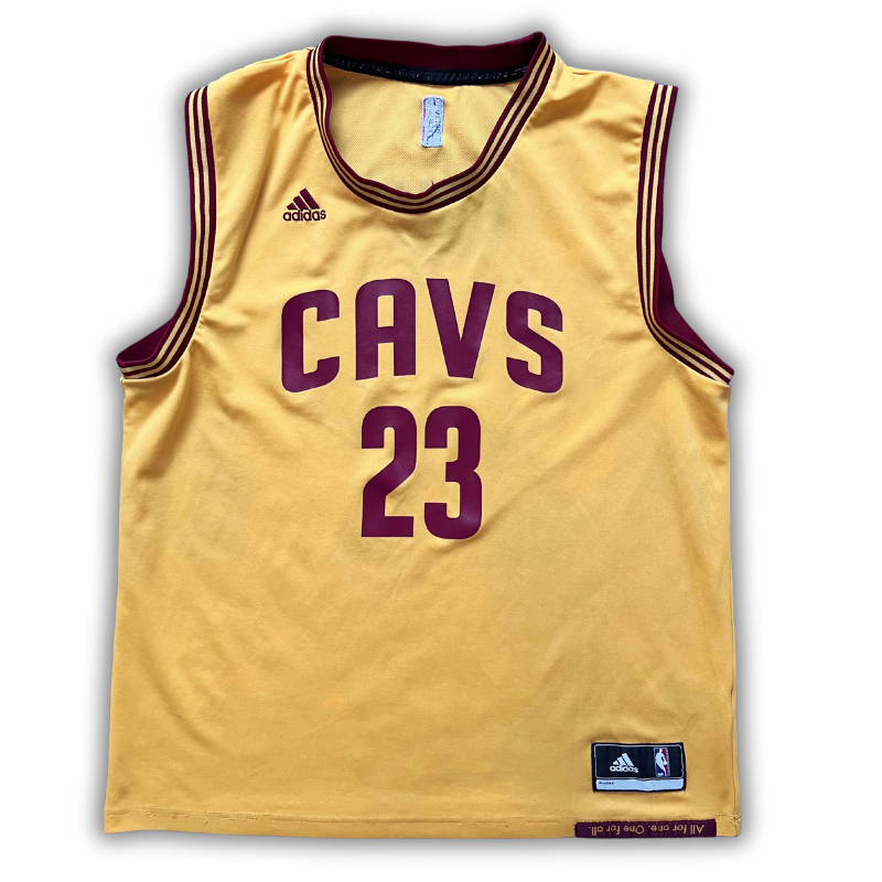 Cleveland Cavaliers 2014/2017 Alternate James (L)