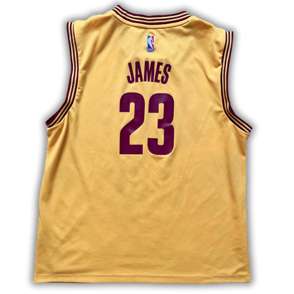 Cleveland Cavaliers 2014/2017 Alternate James (L)