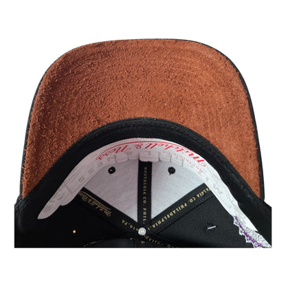 Casquette Toronto Raptors - Icon Grail (Mitchell&Ness)