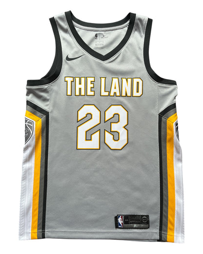 Cleveland Cavaliers 2014/2017 Alternate James (M)