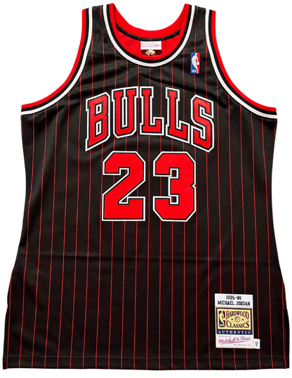 Chicago Bulls 1995/1996 Alternate Jordan (L) HWC