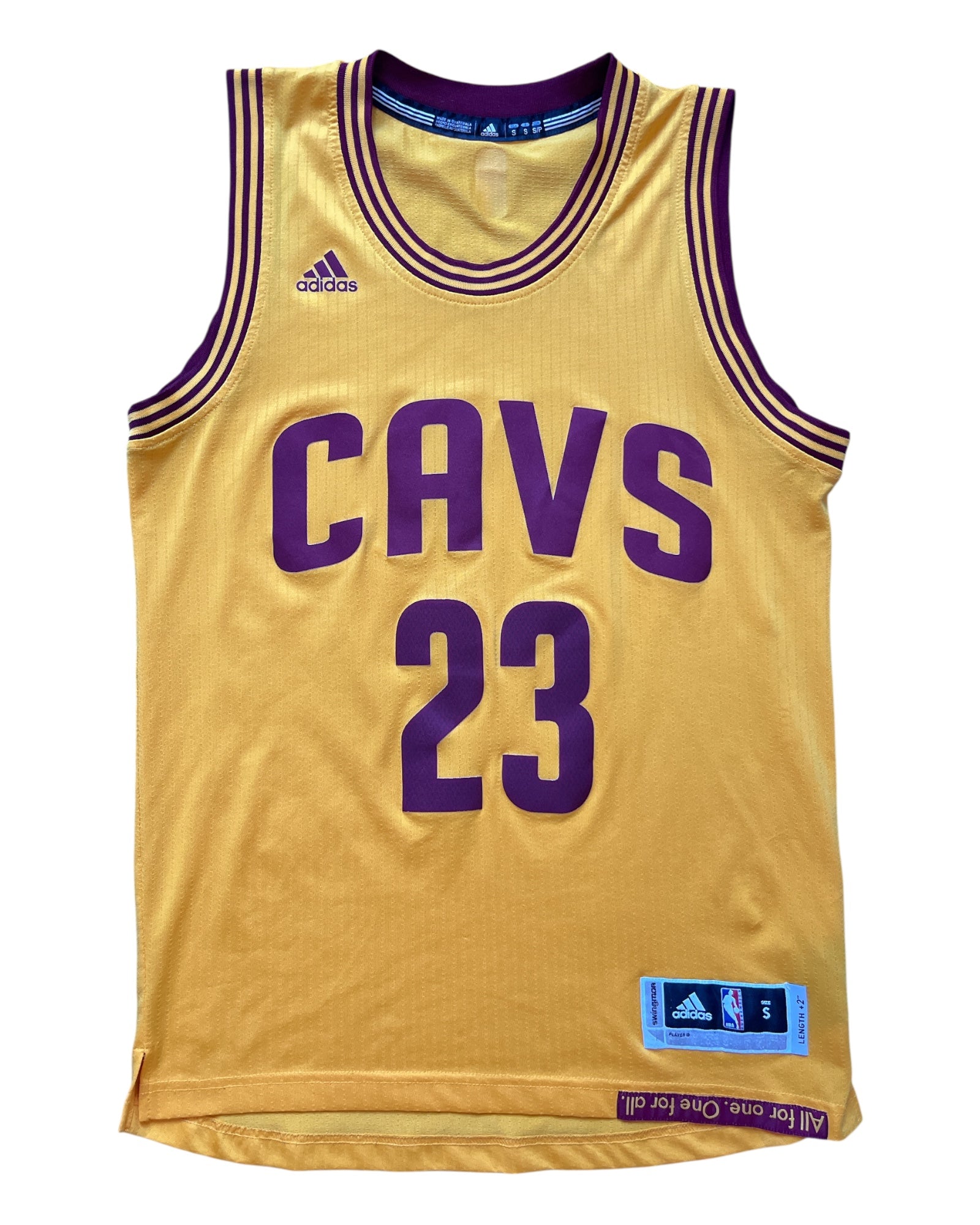 Cleveland Cavaliers 2014/2017 Alternate James (S)