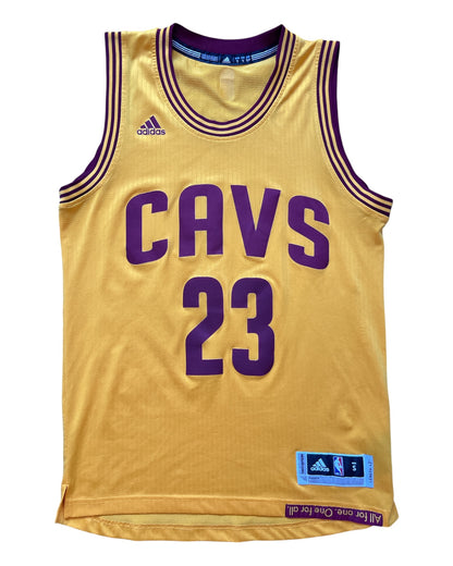 Cleveland Cavaliers 2014/2017 Alternate James (S)