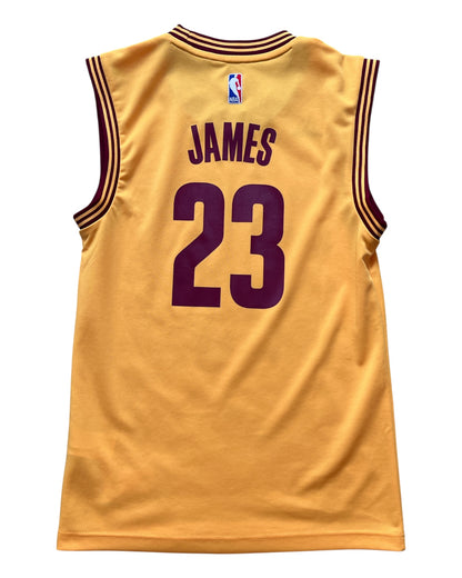 Cleveland Cavaliers 2014/2017 Alternate James (XS)