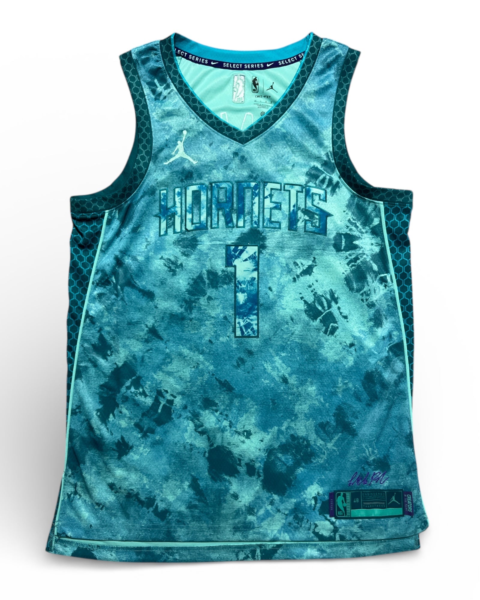 Charlotte Hornets 2023 Select Series Ball (L)