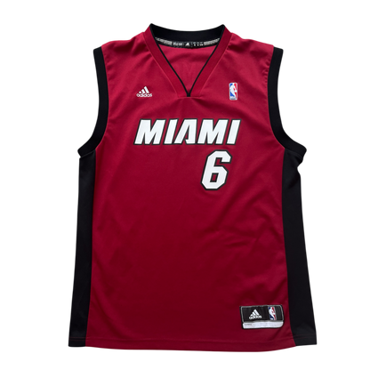 Miami Heat 2010/2012 Alternate James (M)