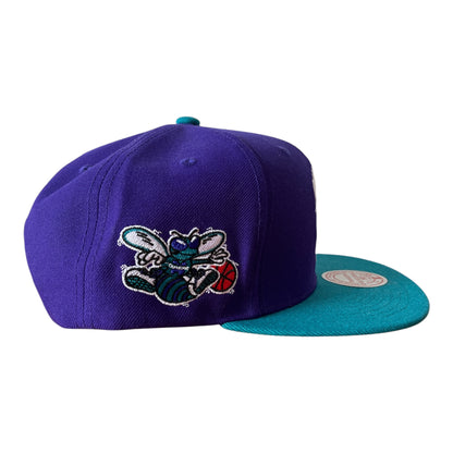 Casquette Charlotte Hornets (Mitchell&Ness)