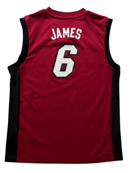 Miami Heat 2012/2014 Alternate James (M)