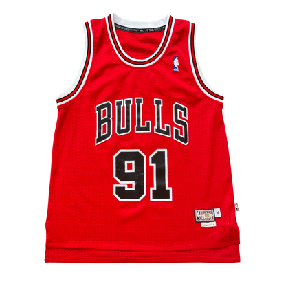 Chicago Bulls 1995/1998 Away Rodman (M) HWC
