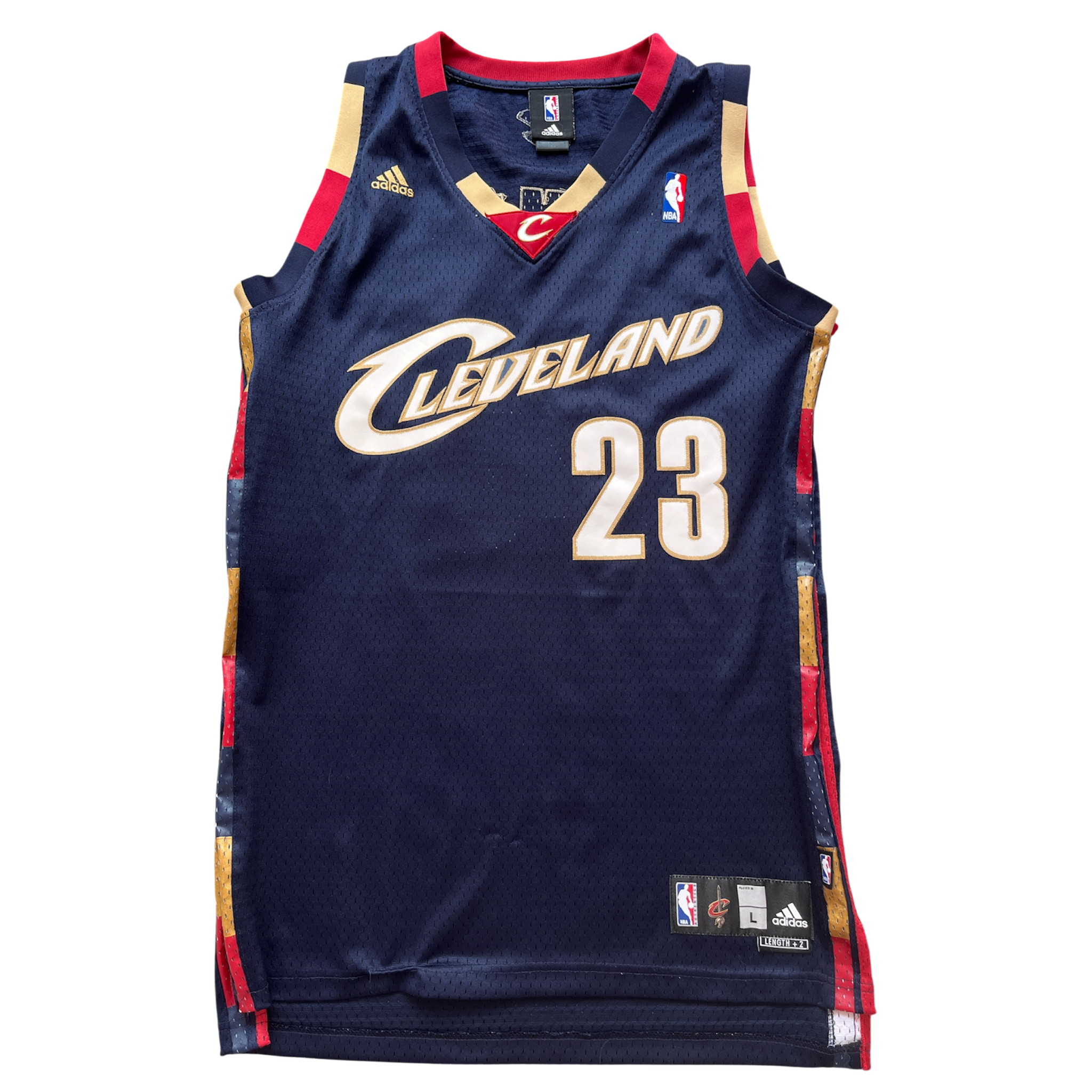 Cleveland Cavaliers 2008/2010 Alternate James (L)