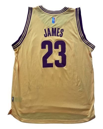 Cleveland Cavaliers 2014/2017 Alternate James (XL)