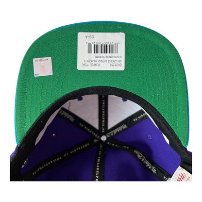 Casquette Charlotte Hornets (Mitchell&Ness)
