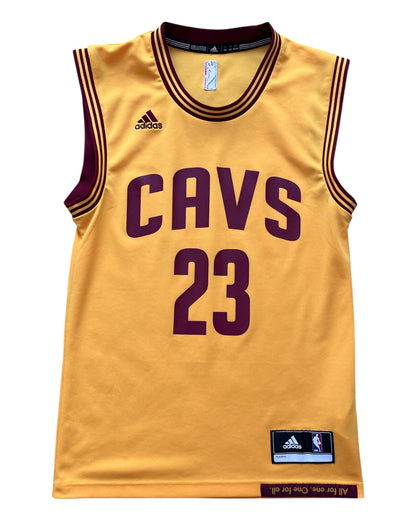 Cleveland Cavaliers 2014/2017 Alternate James (XS)